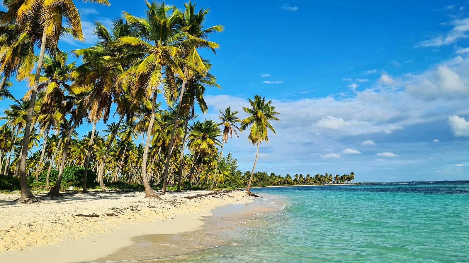 Tropical beach
